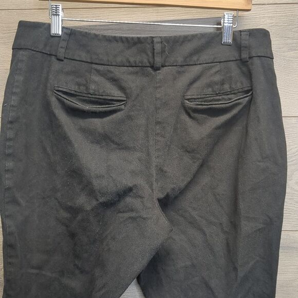 Ann Taylor Business Trouser Dress Pants Women's Size 10 Curvy - Picture 5 of 9